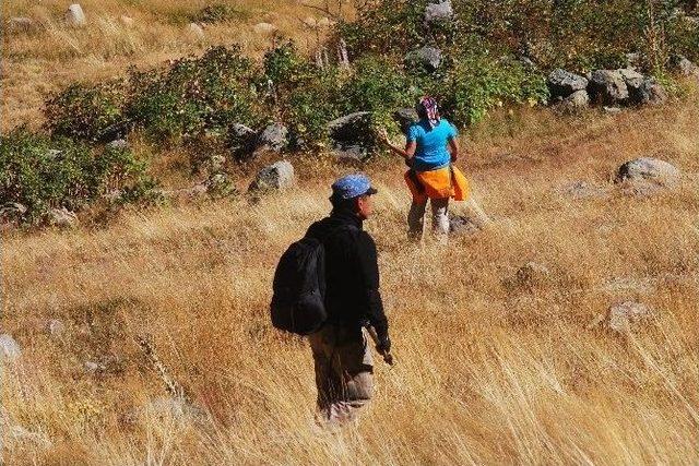 Artabel’in Sürüngen Çeşitliliği Belirleniyor 1