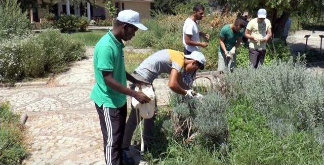Tıbbi Bitkiler Bah&ccedil;esinden &Uuml;niversite &Ouml;ğrencilerine Staj İmkanı 2