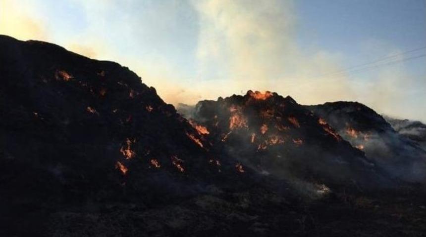 25 Bin Adet Saman Balyası K&uuml;l Oldu