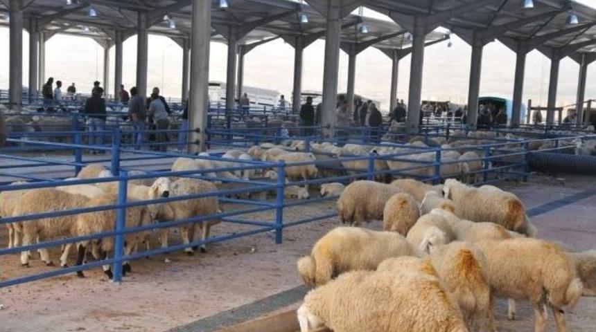 Niğde&rsquo;de Kurban Kesim Yerleri Belirlendi