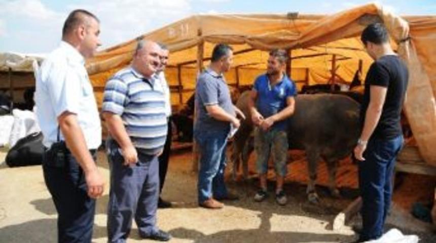 Pursaklar&rsquo;da Kurbanlıklara Sıkı Denetim