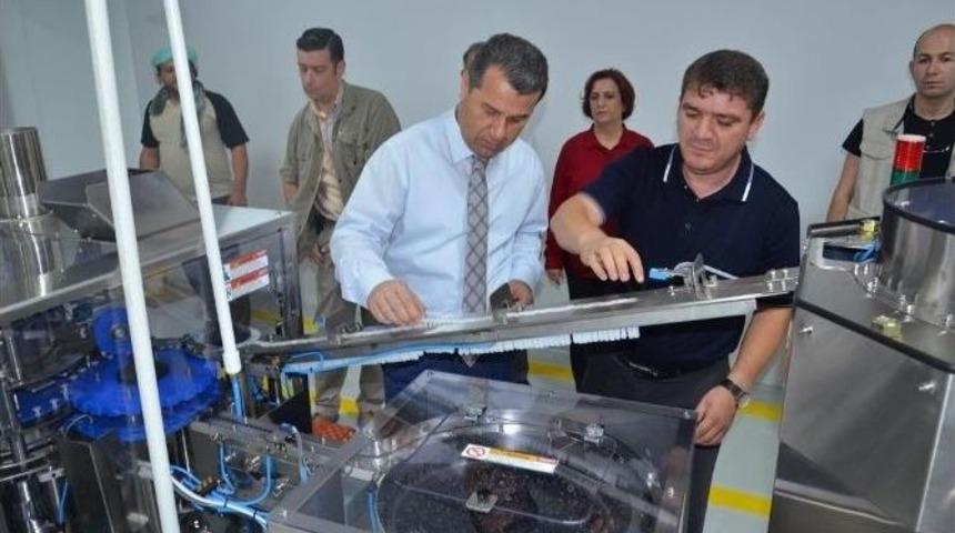 Vali &Ccedil;elik, Yeni &Uuml;retime Başlayan Firmayı Ziyaret Etti