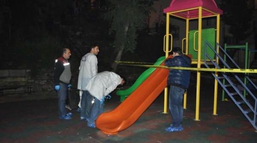 Park Cinayeti Sanığına 15 Yıl Hapis