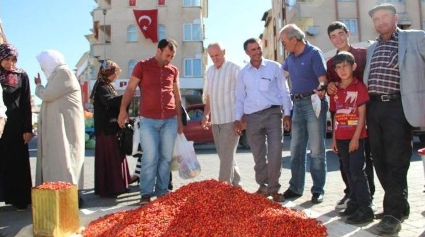 Oltu Pazarında Kuşburnu İzdihamı