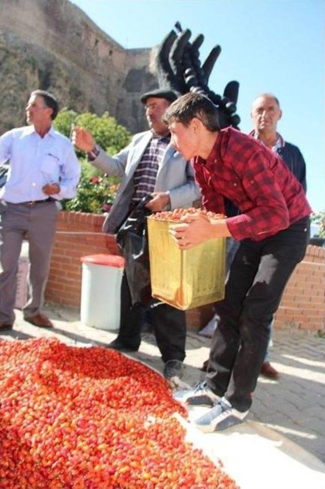 Oltu Pazarında Kuşburnu İzdihamı 3