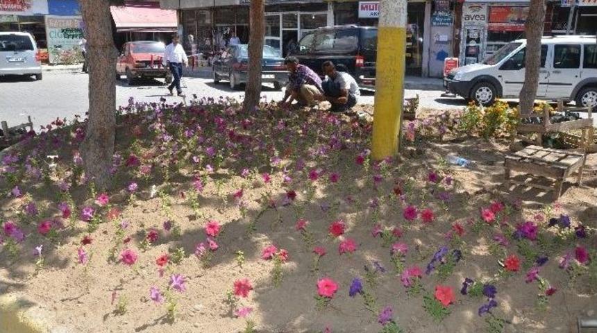 Erciş&rsquo;te Yeşillendirme &Ccedil;alışması