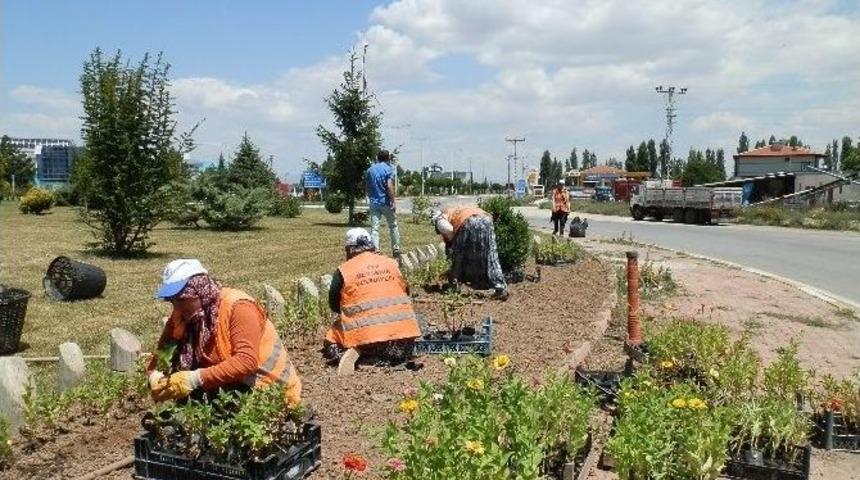 Beyşehir&rsquo;de 100 Bin &Ccedil;i&ccedil;ek Toprakla Buluştu