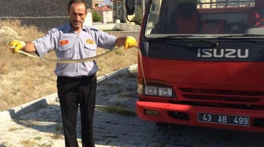 Hisarcık İtfaiyesinden Yılan Operasyonu