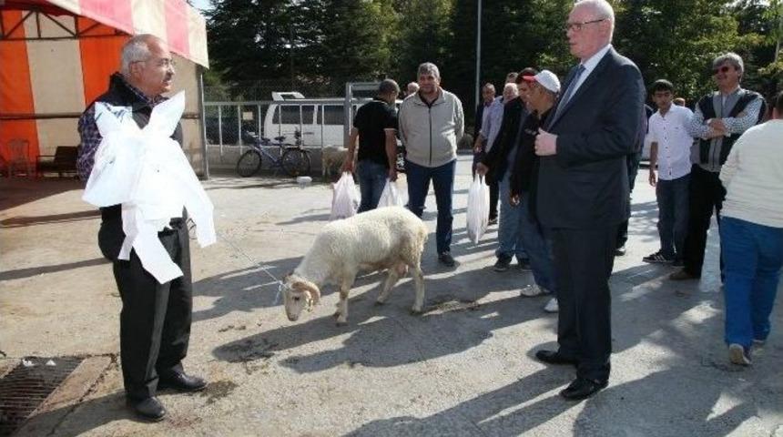 Odunpazarı&rsquo;nda Hizmetler &Uuml;cretsiz