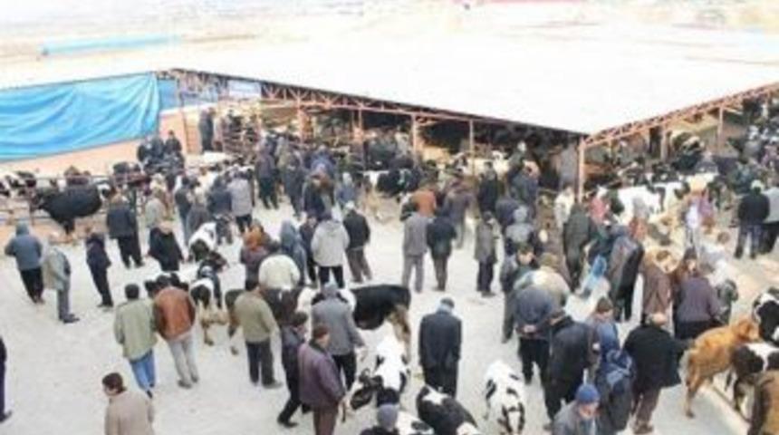 Kahramanmaraş&rsquo;ta Kurban Satış Ve Kesim Yerleri Belirlendi