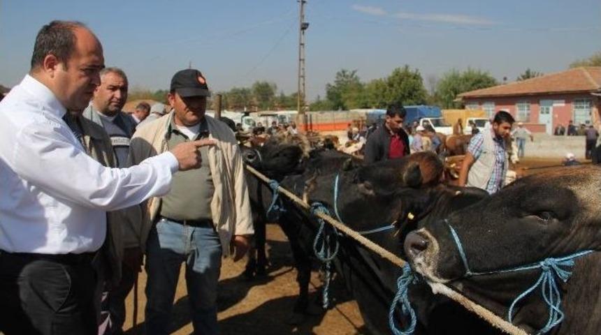 &Ccedil;orum&rsquo;da Kurbanlık Sıkıntısı Yok