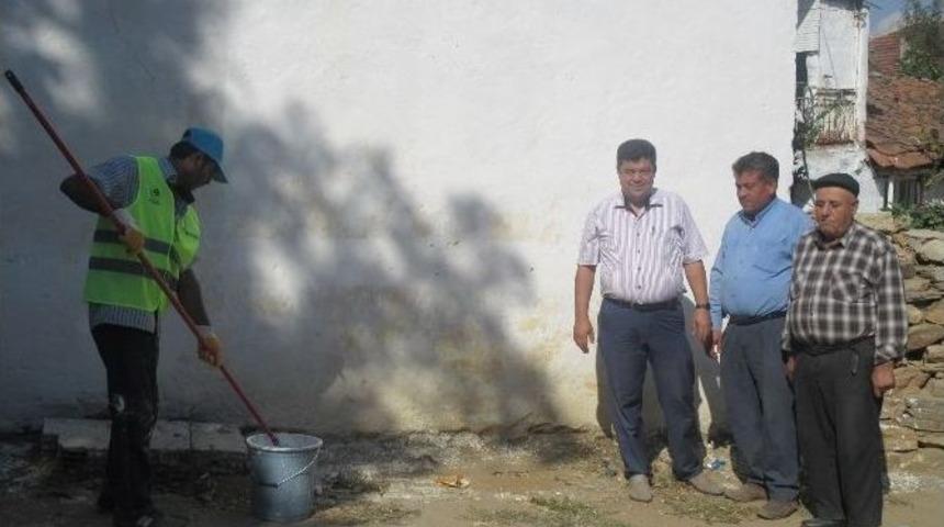 Başıb&uuml;y&uuml;k&rsquo;te Beyaz Sevin&ccedil;