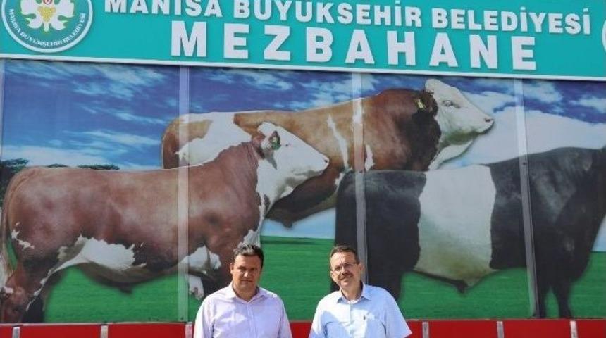 Manisa Bayrama Hazır