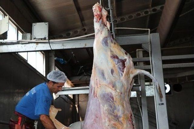 Manisa Bayrama Hazır 1