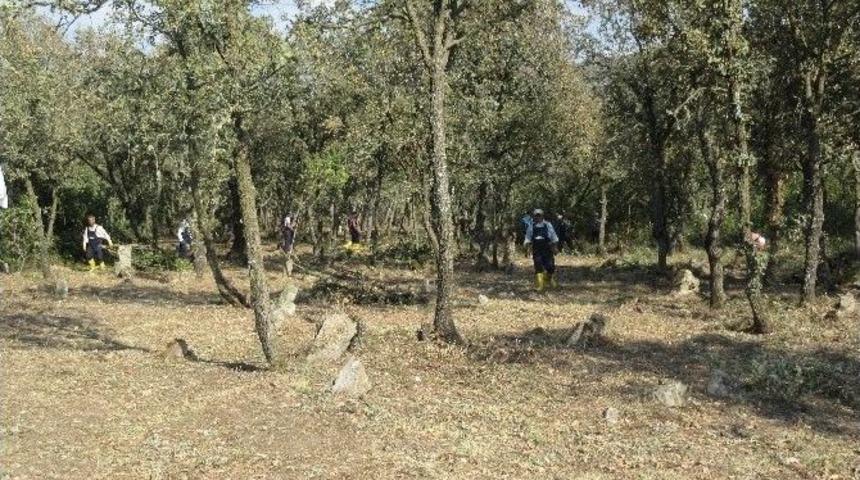 Manisa Genelinde Mezarlıklar Temizleniyor