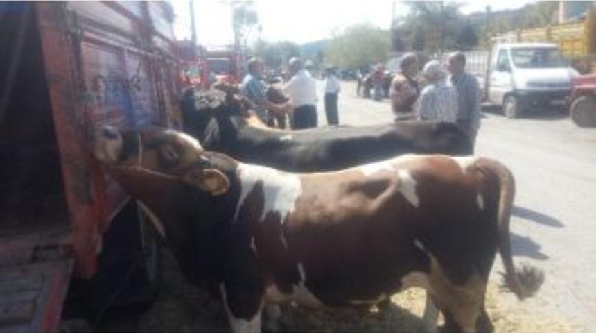 Alaplı&rsquo;da Kurban Kesim Yerleri Belirlendi