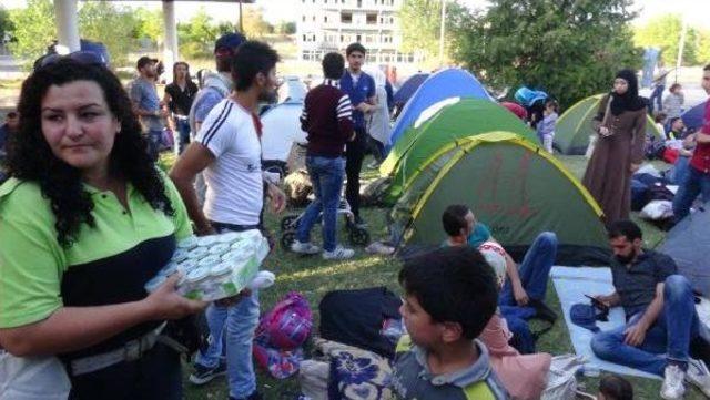 Tem Kenarında Suriyelilerin Göç Kampı (3)