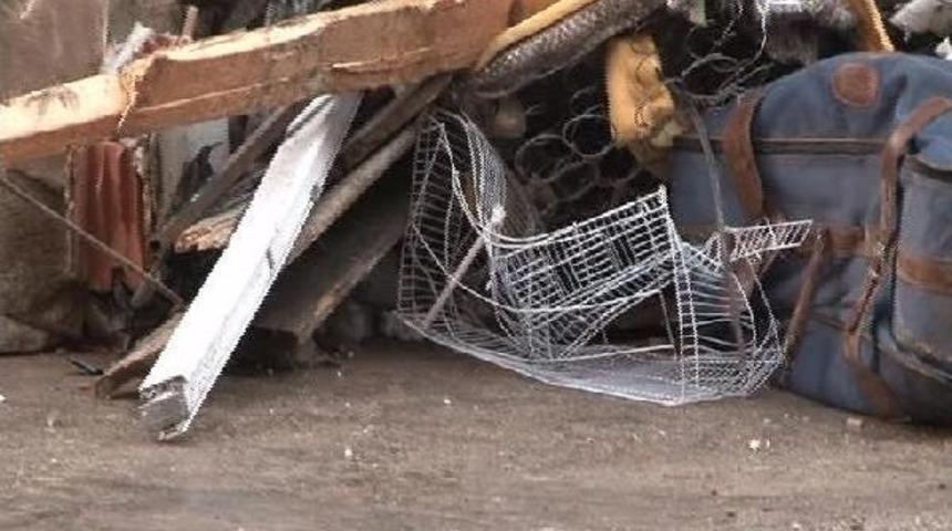 - Kanaryalar G&ouml;&ccedil;&uuml;kten Son Anda Kurtuldu