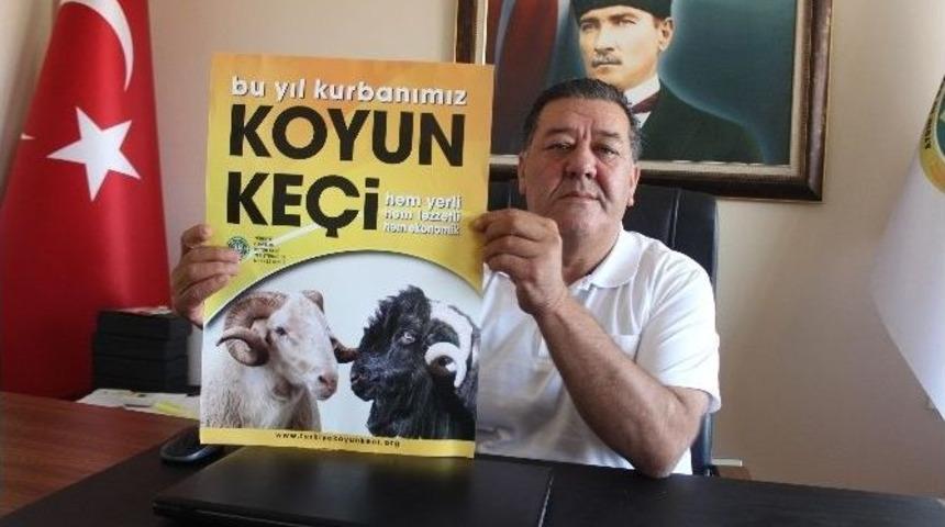 Damızlık Koyun Ke&ccedil;i Yetiştiricileri Birliği&rsquo;nden Kurban Keseceklere &Ccedil;ağrı