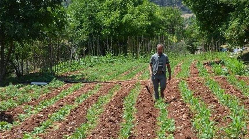 Organik Ve İyi Tarım Destekleme &Ouml;demeleri Başladı