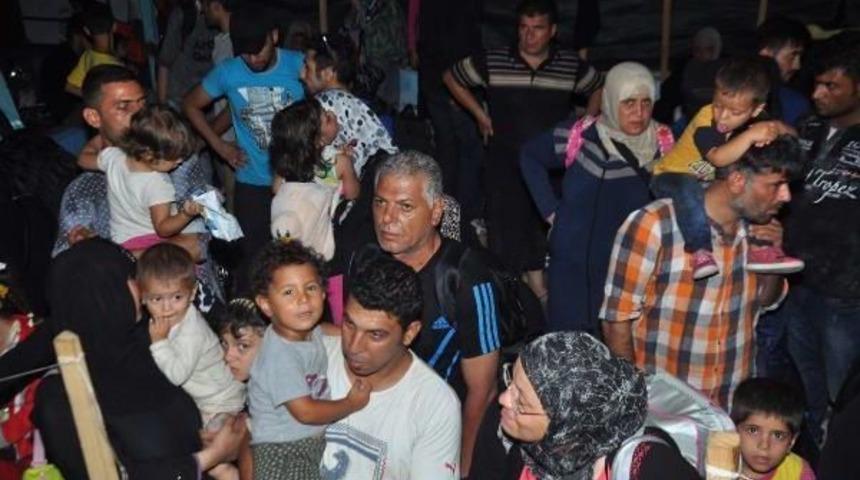 260 Syrian Migrant Captured Seeking To Cross Into Italy Through Mediterranean