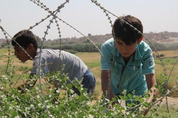 (özel Haber) Mayından Çıkan Derman G3