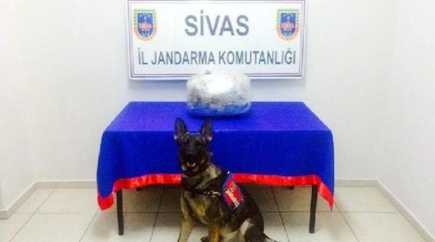 Sivas'ta Uyuşturucu Ve Sigara Operasyonu