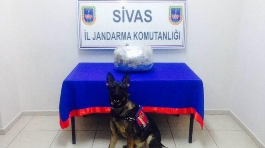 Sivas&rsquo;ta Uyuşturucu Operasyonu