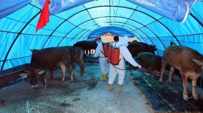 Talas Kurban Bayramı&rsquo;na Hazır