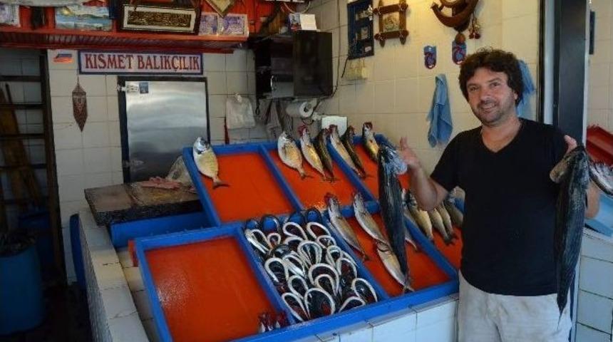 Yeni Av Sezonu Balık&ccedil;ılar İ&ccedil;in H&uuml;sran Oldu
