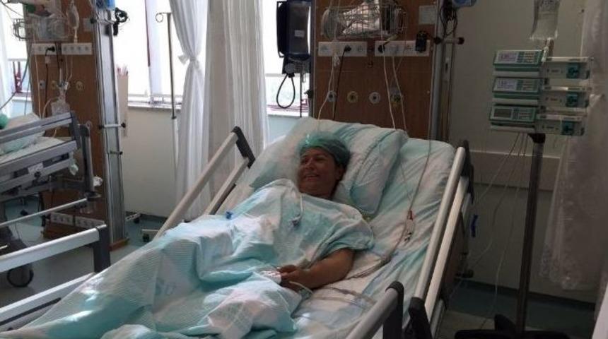 Ks&uuml;&rsquo; De B&ouml;brek Nakli D&ouml;nemi Başladı