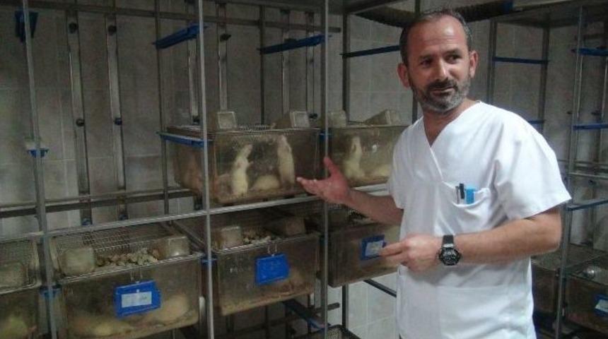 Kanser Hastalarına Yeni Umut