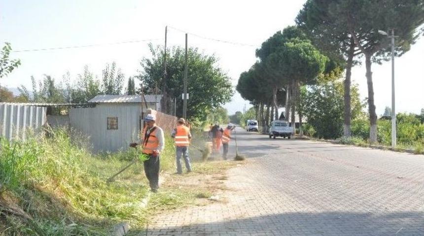 Nazilli&rsquo;de Yol Kenarları Temizleniiyor