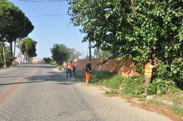 Nazilli’de Yol Kenarları Temizleniiyor