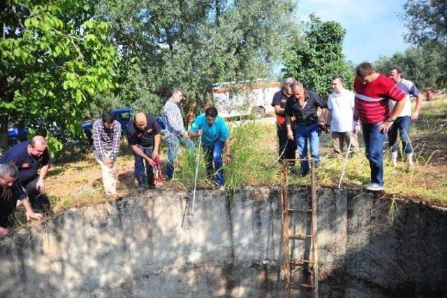 Kuyuya Düşen Yavru Domuzu Itfaiye Kurtardı