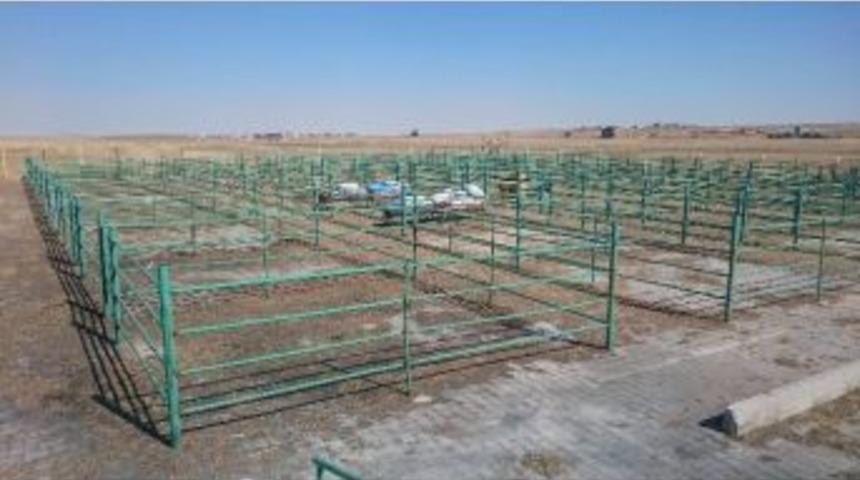 Cihanbeyli&rsquo;de Kurban Bayramı Hazırlıkları S&uuml;r&uuml;yor