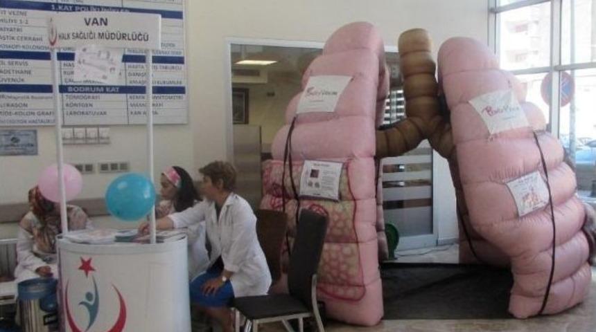 &Ouml;zel İstanbul Hastanesi&rsquo;ne Dev Ciğer Maketi