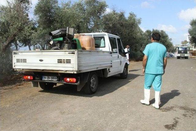 Kartal’da Kurbanlık Hayvanlar Sağlık Kontrolünden Geçirildi