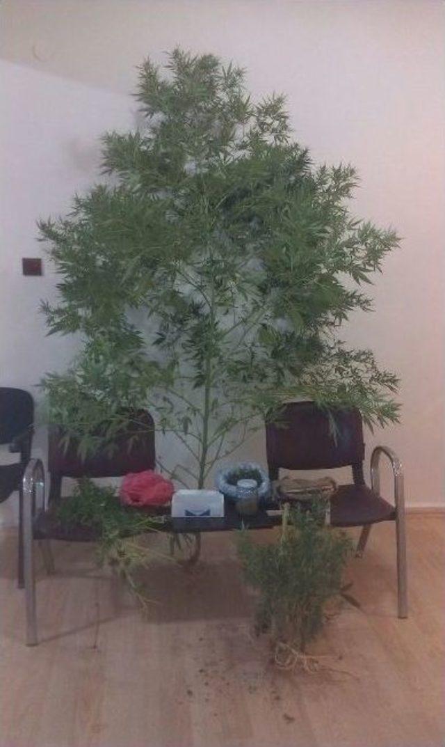 Tekirdağ&rsquo;da Uyuşturucu Tacirlerine Darbe 1