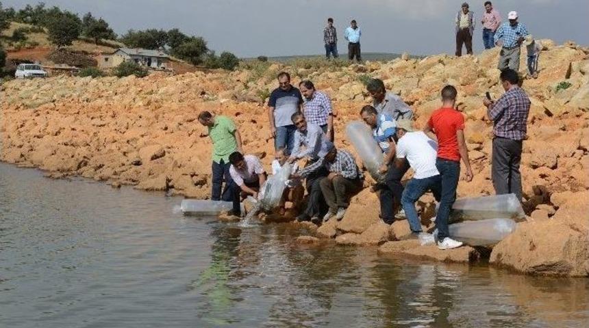 B&uuml;y&uuml;kşehir&rsquo;den Balık&ccedil;ılığa Destek
