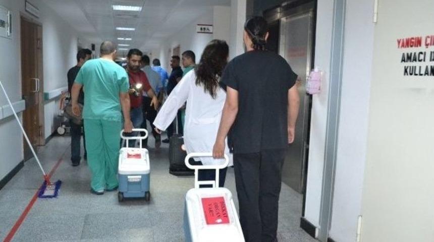 Organları 3 Hastaya Umut Oldu