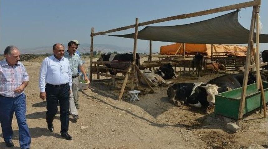 &Ccedil;iğli&rsquo;de Kurban Kesim Yeri Bayrama Hazır