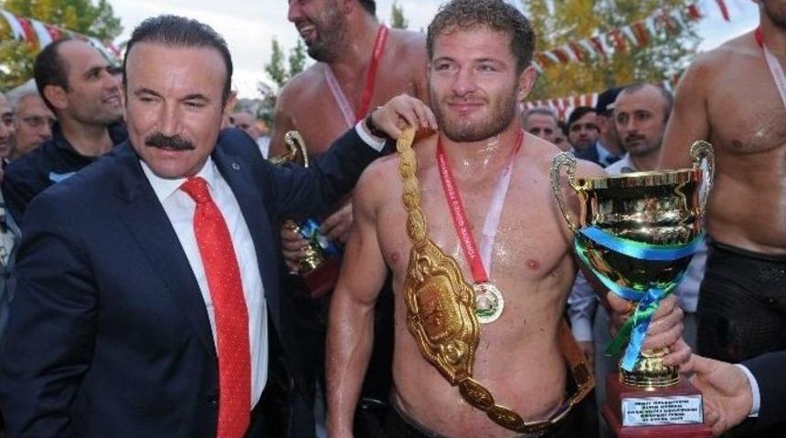 Paşa G&uuml;reş Ş&ouml;leni Devam Ediyor