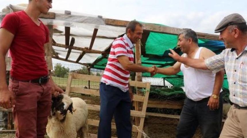 Samsun Kasaplar Odası: Marketlerin Kurban Satması Ve Kredi Kartına Taksit Bizi Olumsuz Etkiliyor