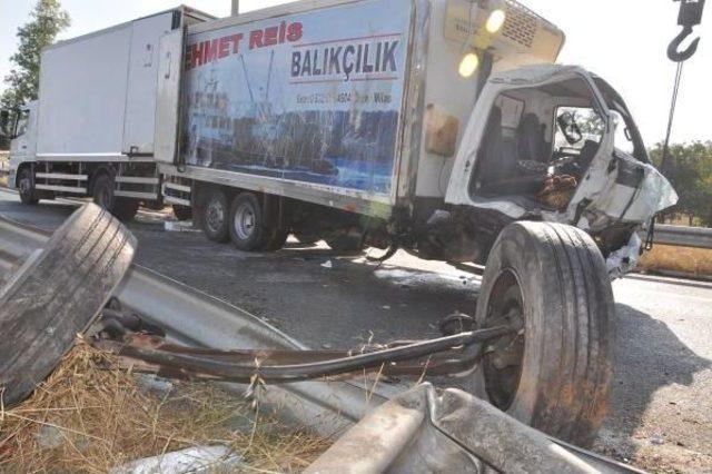 Bariyerlere Çarpan Balık Yüklü Kamyonun Şoförü Yaralandı