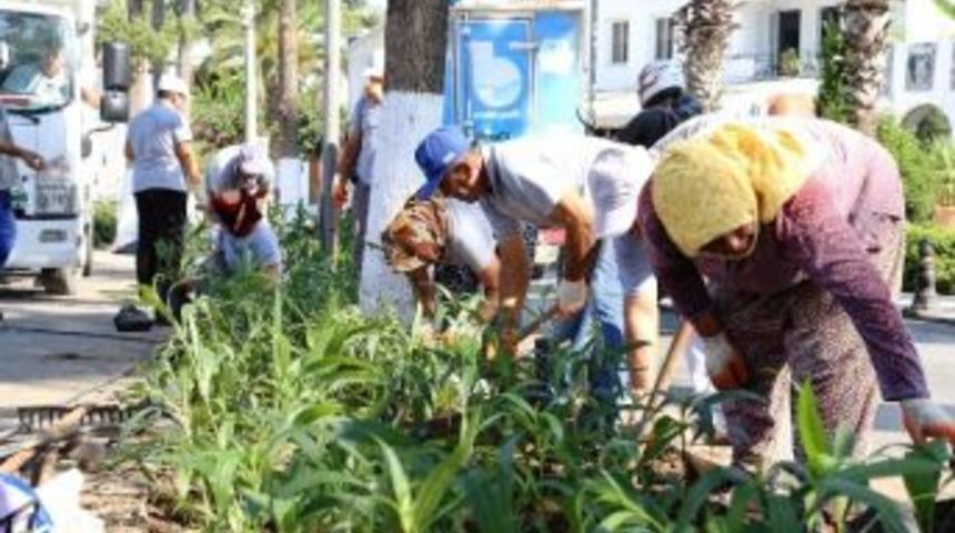 Bodrum Yeşilleniyor