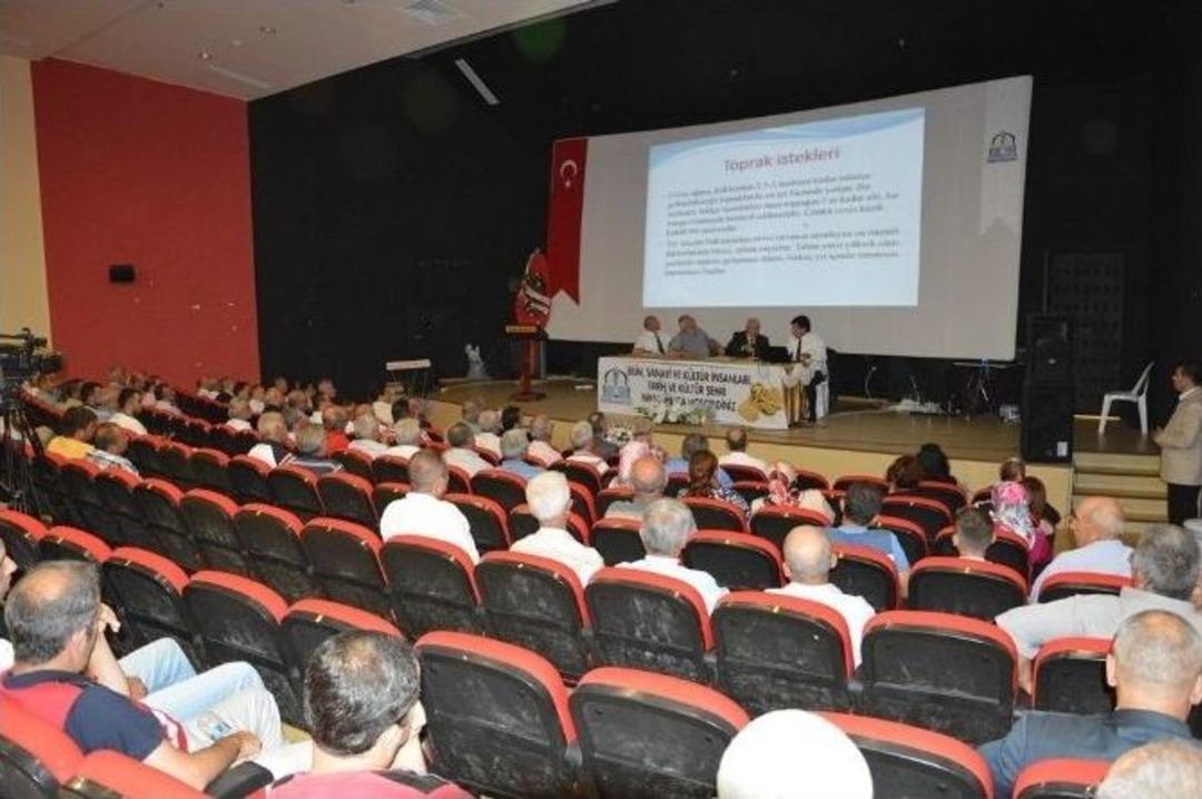 Cevizin Başkenti Niksar&rsquo;da &ldquo;ceviz Paneli&rdquo; Yapıldı