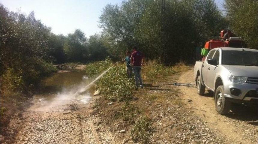 Sungurlu Belediyesi&rsquo;nden İla&ccedil;lama &Ccedil;alışması
