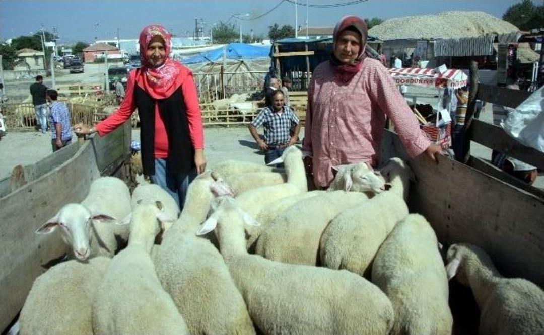 (&ouml;zel Haber) Biri &Ouml;ğretmen &Ccedil;oban Kız Kardeşler Kurban Pazarının İlgi Odağı Oldu