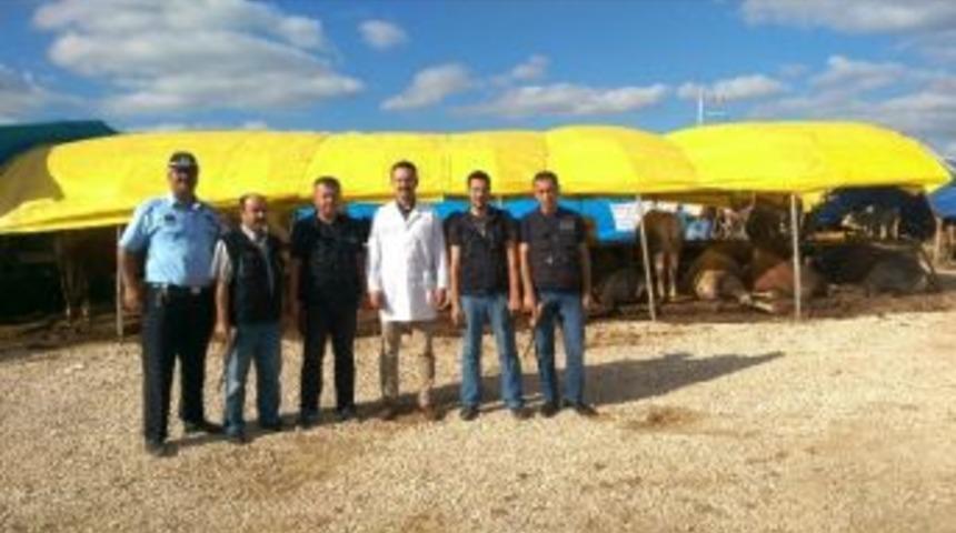 İzmit&rsquo;in Boğa Timi G&ouml;reve Hazır